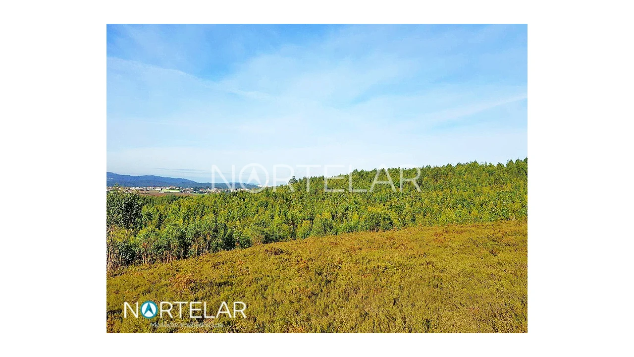 Terreno para Venda em Fradelos Foto 2