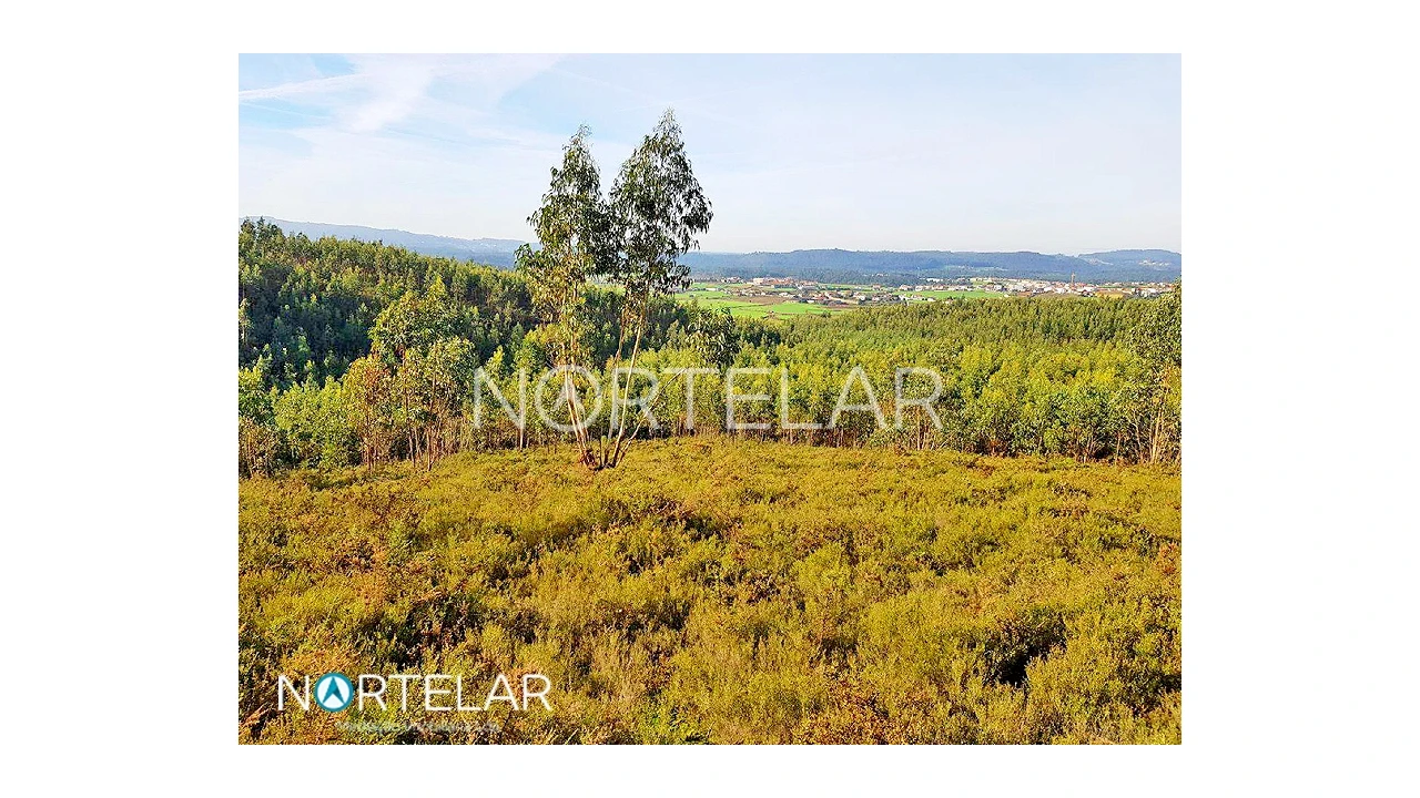Terreno para Venda em Fradelos Foto 3