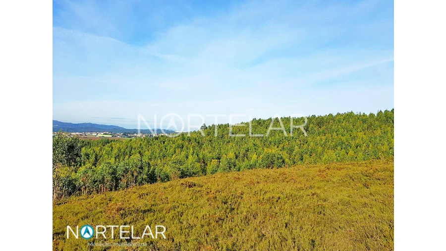 Terreno para Venda em Fradelos Foto 2