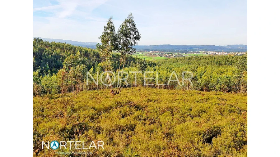 Terreno para Venda em Fradelos Foto 3