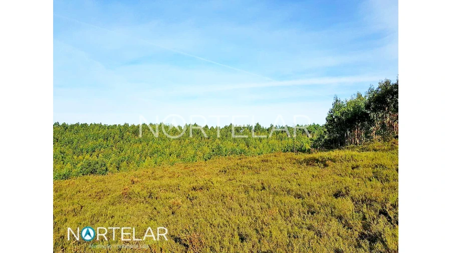 Terreno para Venda em Fradelos Foto 4