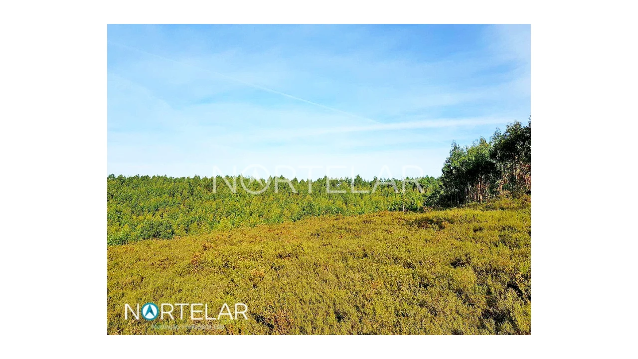 Terreno para Venda em Fradelos Foto 4