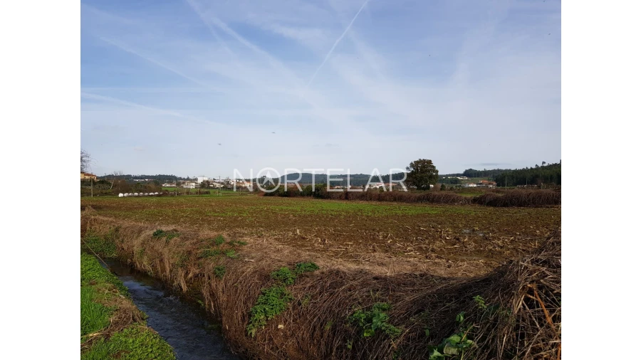 Terreno Agricola ou Rústico para Venda em Fradelos Foto 1
