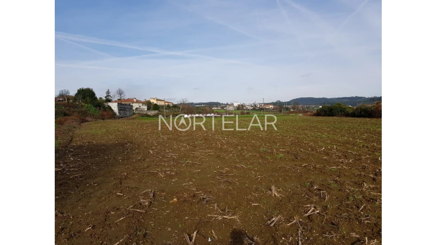 Terreno Agricola ou Rústico para Venda em Fradelos Foto 2