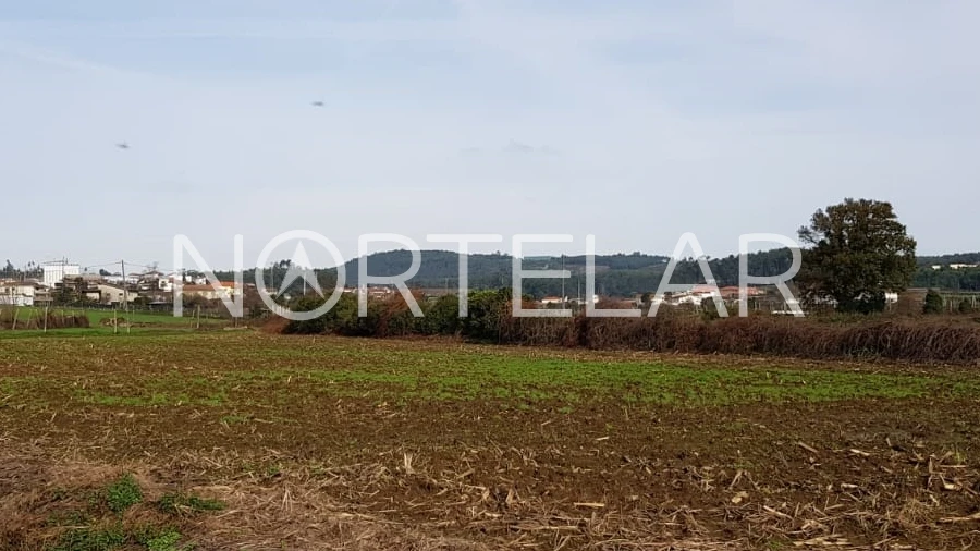Terreno Agricola ou Rústico para Venda em Fradelos