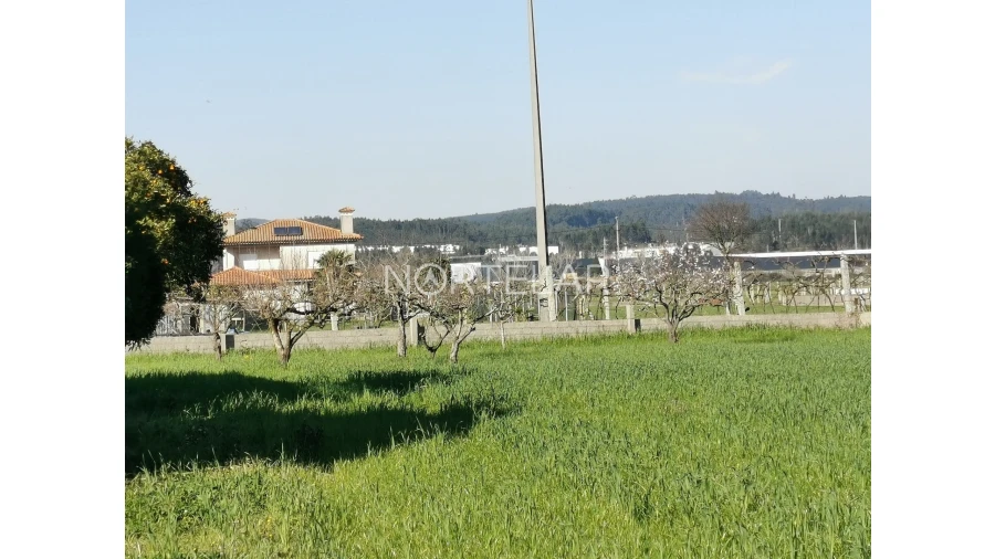 Terreno para Venda em Bougado (São Martinho e Santiago) Foto 4