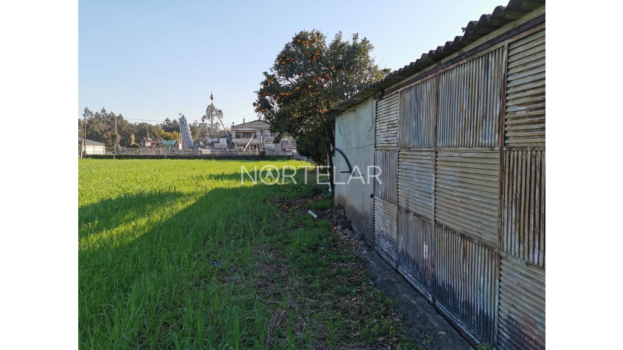Terreno para Venda em Bougado (São Martinho e Santiago) Foto 6
