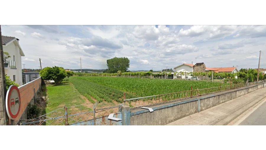 Terreno para Venda em Bougado (São Martinho e Santiago) Foto 10