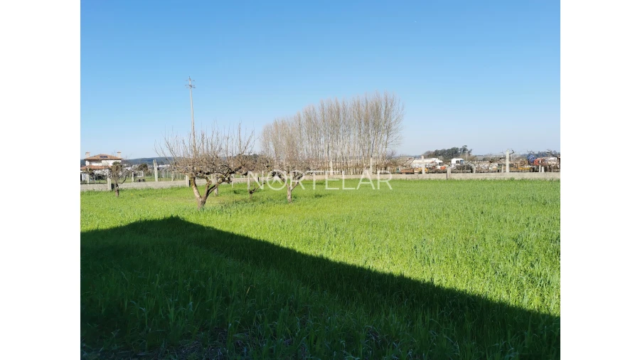 Terreno para Venda em Bougado (São Martinho e Santiago) Foto 2
