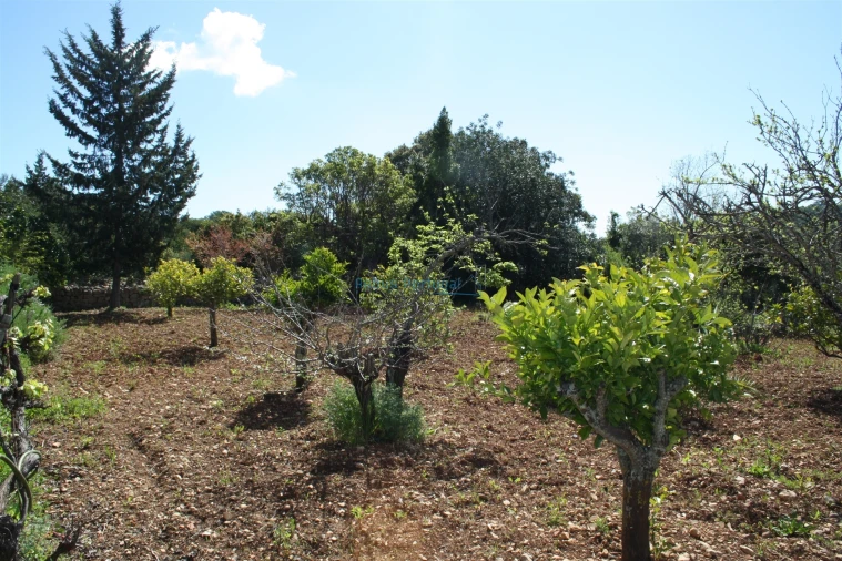 Moradia T3 para Venda em Santa Barbara de Nexe Foto 23