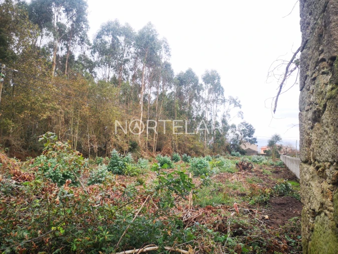 Terreno para Venda em Póvoa de Varzim, Beiriz e Argivai Foto 2