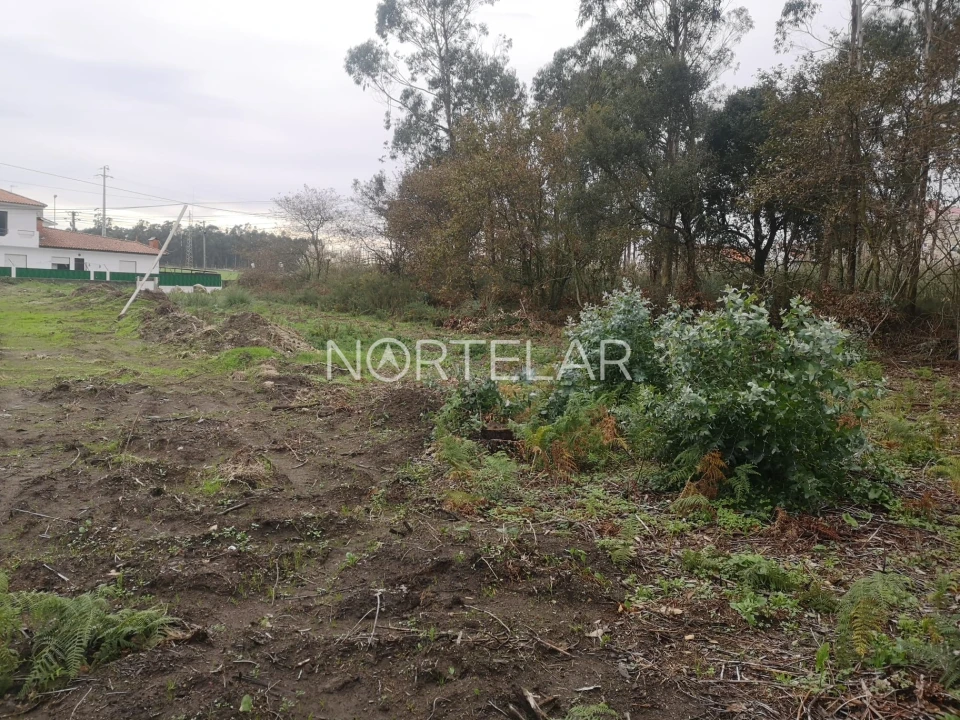 Terreno para Venda em Póvoa de Varzim, Beiriz e Argivai Foto 1