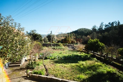 Quinta T15 para Venda em Brasfemes