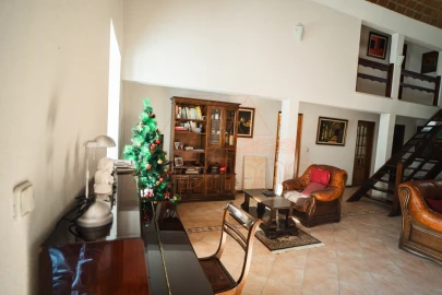 Quinta T15 para Venda em Brasfemes