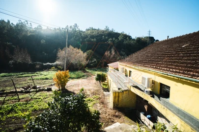 Quinta T15 para Venda em Brasfemes