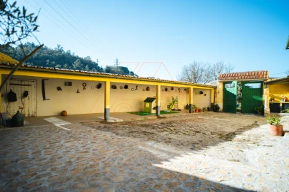 Quinta T15 para Venda em Brasfemes