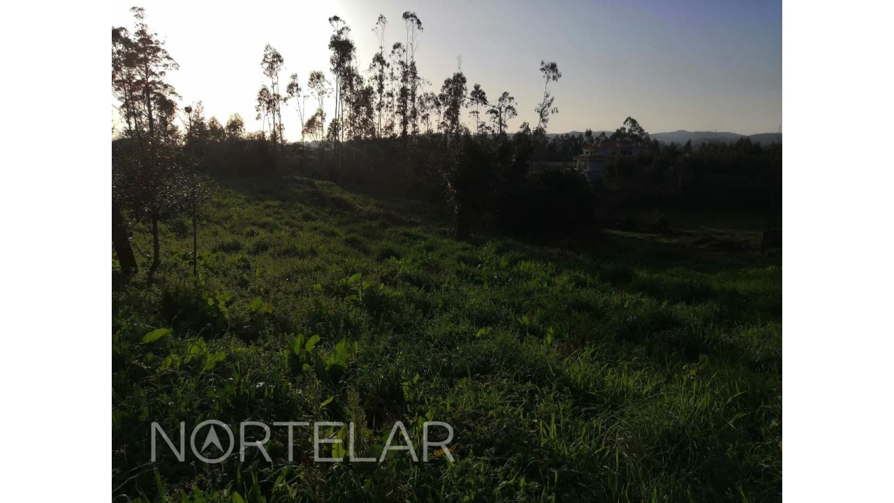 Terreno Misto para Venda em Fradelos Foto 4