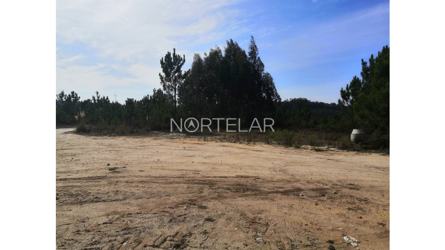 Terreno Comércio / Armazém para Venda em Bagunte, Ferreiró, Outeiro Maior e Parada Foto 1