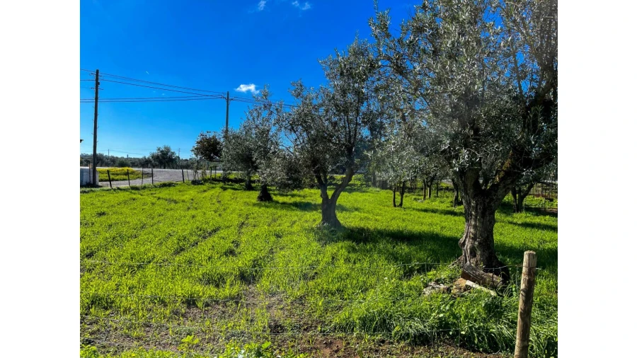 Moradia T2 para Venda em Arcos Foto 3