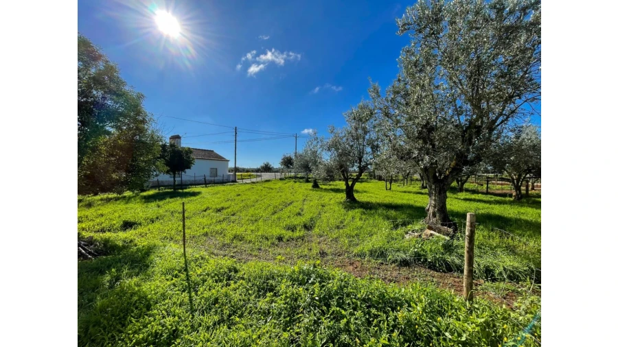 Moradia T2 para Venda em Arcos Foto 5