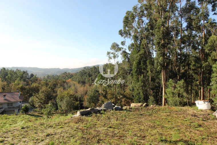Terreno para Venda em Arões (São Romão) Foto 4