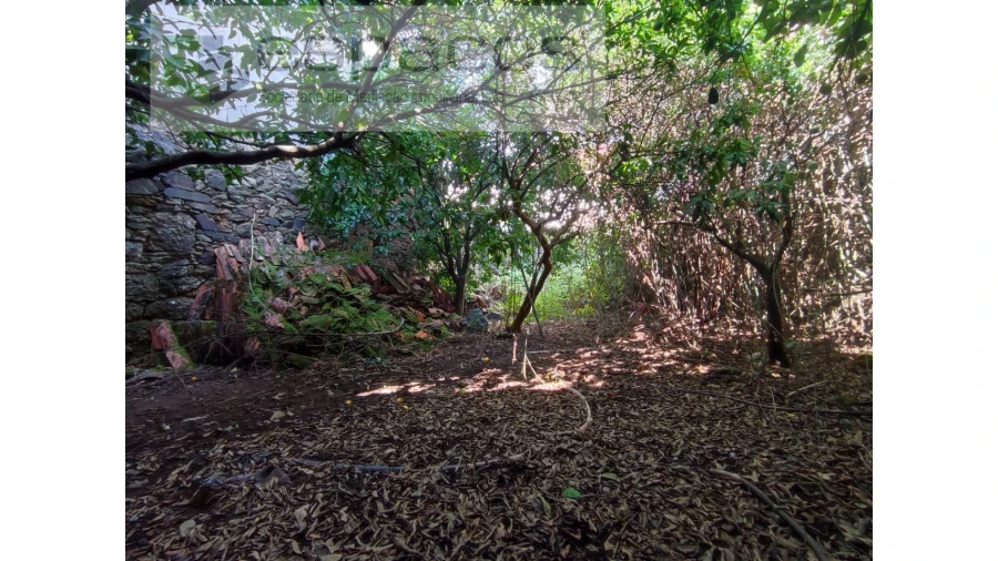 Armazém para Venda em Salvador Foto 10