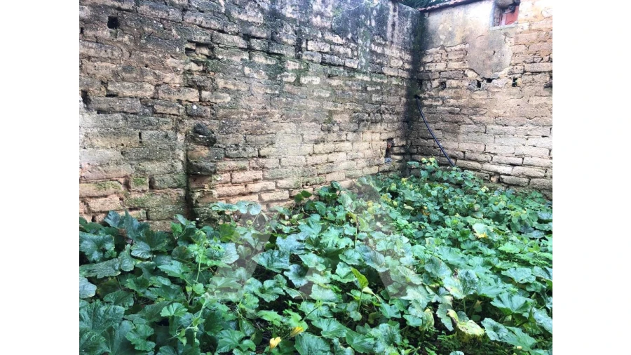 Moradia T3 para Venda em Sepins e Bolho Foto 6