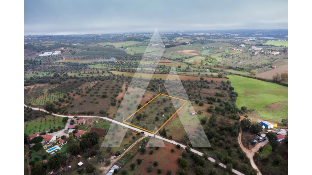 Terreno para Venda em Brogueira, Parceiros de Igreja e Alcorochel Foto 3