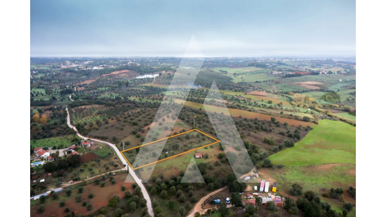 Terreno para Venda em Brogueira, Parceiros de Igreja e Alcorochel Foto 5