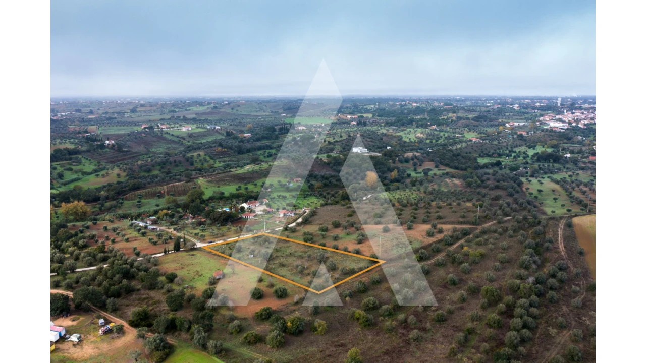 Terreno para Venda em Brogueira, Parceiros de Igreja e Alcorochel Foto 9