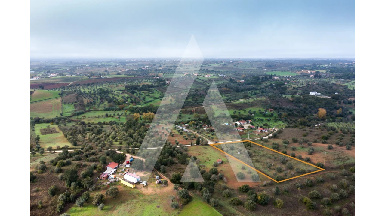Terreno para Venda em Brogueira, Parceiros de Igreja e Alcorochel Foto 10