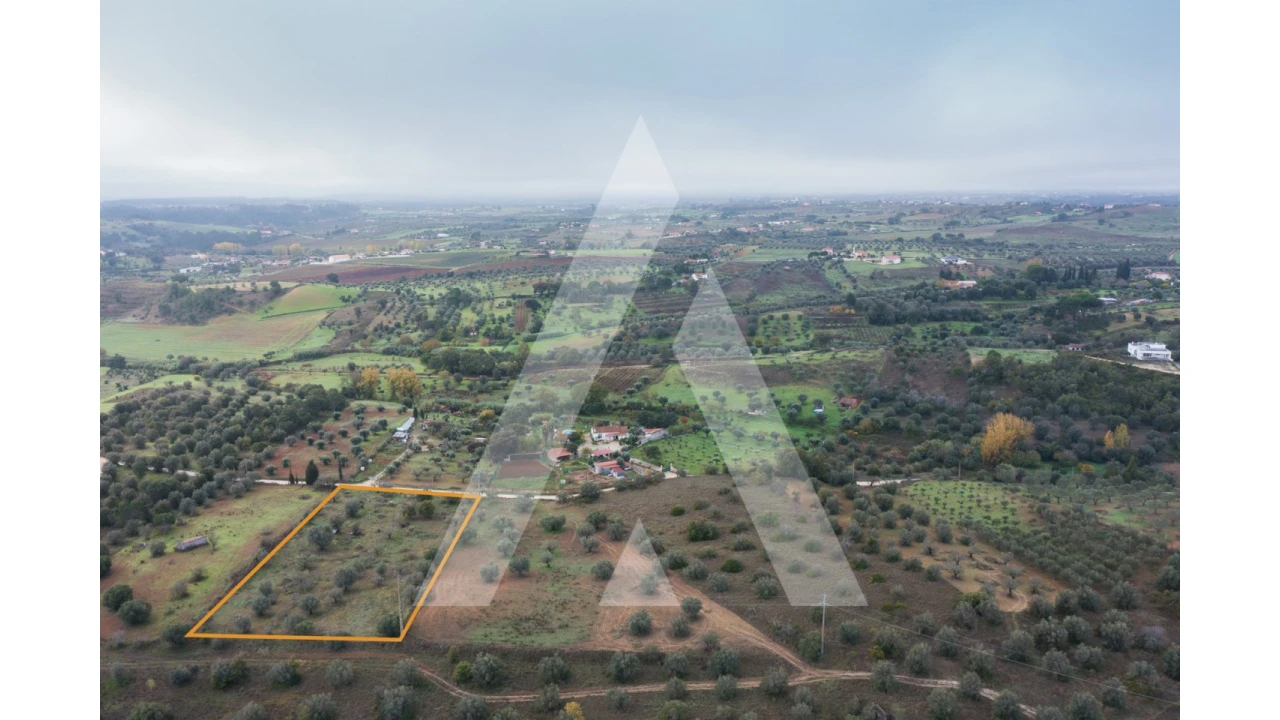 Terreno para Venda em Brogueira, Parceiros de Igreja e Alcorochel Foto 13