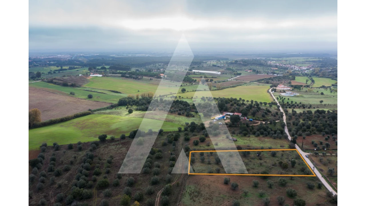 Terreno para Venda em Brogueira, Parceiros de Igreja e Alcorochel Foto 15
