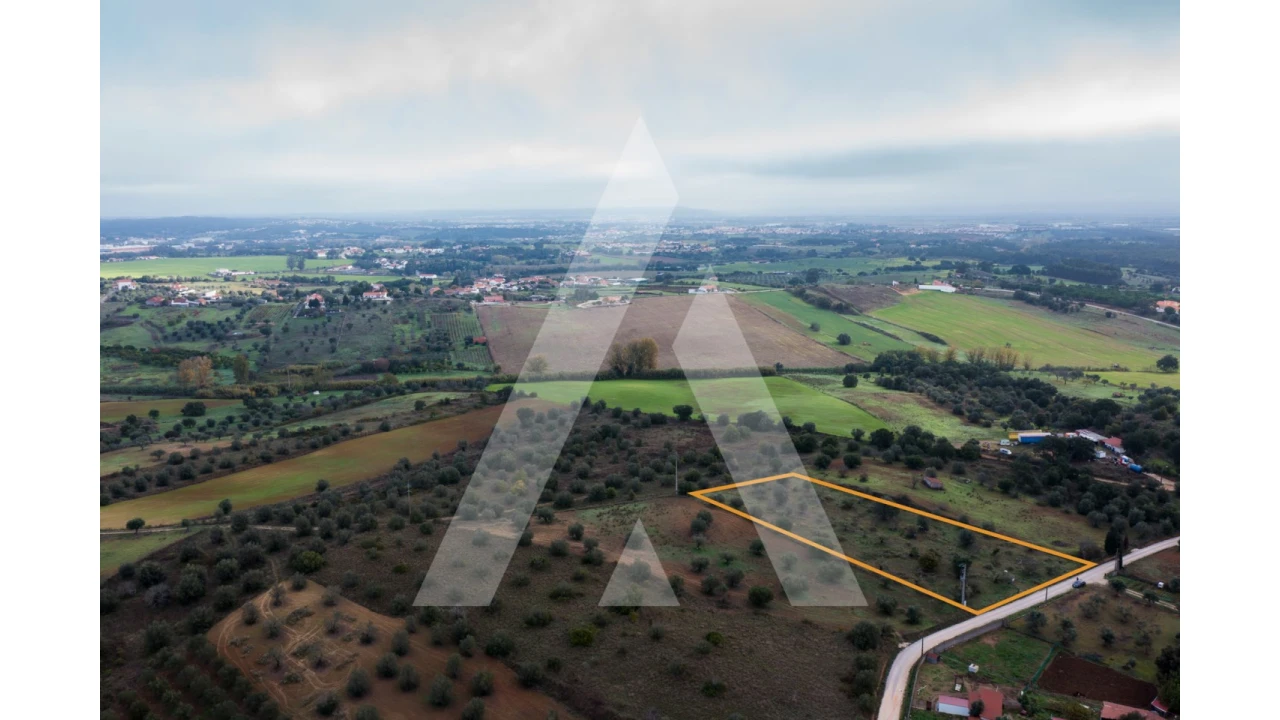 Terreno para Venda em Brogueira, Parceiros de Igreja e Alcorochel Foto 17