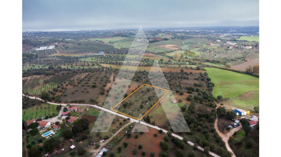 Terreno para Venda em Brogueira, Parceiros de Igreja e Alcorochel Foto 3