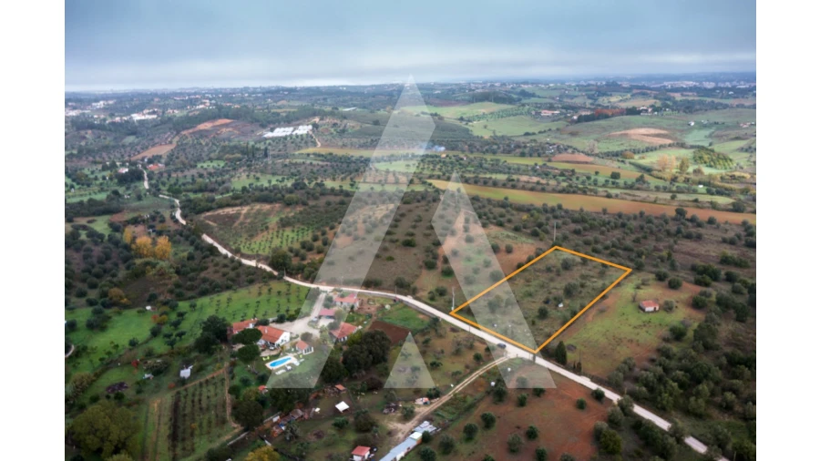 Terreno para Venda em Brogueira, Parceiros de Igreja e Alcorochel Foto 4