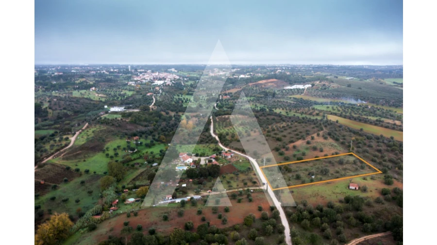 Terreno para Venda em Brogueira, Parceiros de Igreja e Alcorochel Foto 6