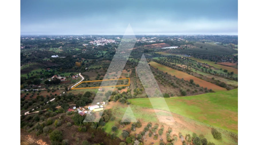Terreno para Venda em Brogueira, Parceiros de Igreja e Alcorochel Foto 7