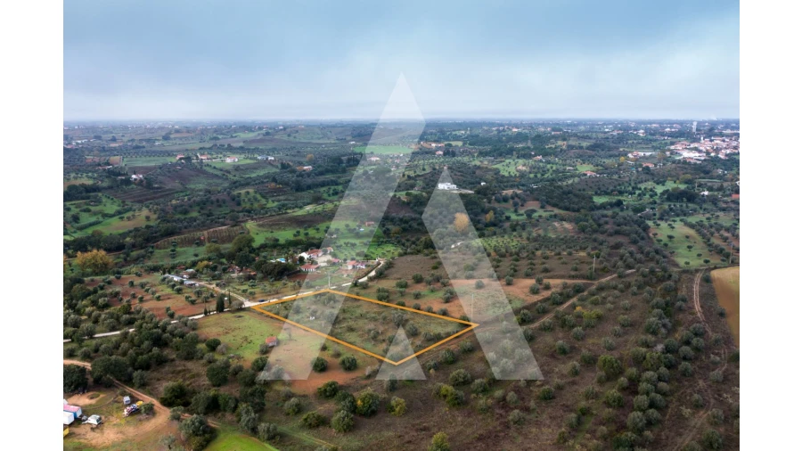 Terreno para Venda em Brogueira, Parceiros de Igreja e Alcorochel Foto 9