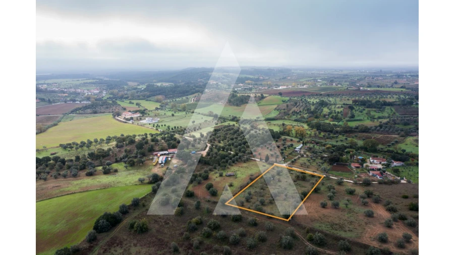 Terreno para Venda em Brogueira, Parceiros de Igreja e Alcorochel Foto 11