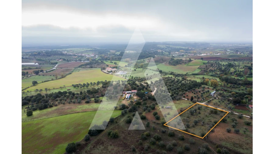 Terreno para Venda em Brogueira, Parceiros de Igreja e Alcorochel Foto 12