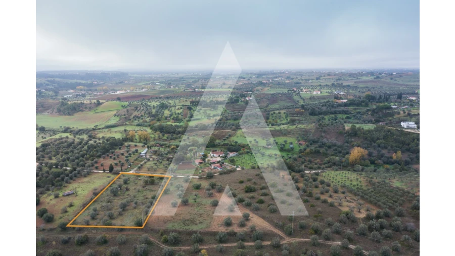 Terreno para Venda em Brogueira, Parceiros de Igreja e Alcorochel Foto 13