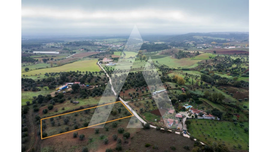 Terreno para Venda em Brogueira, Parceiros de Igreja e Alcorochel Foto 14