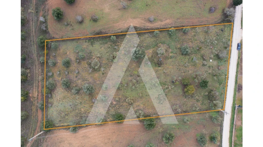 Terreno para Venda em Brogueira, Parceiros de Igreja e Alcorochel Foto 18