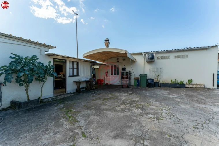 Loja para Venda em Madalena Foto 22