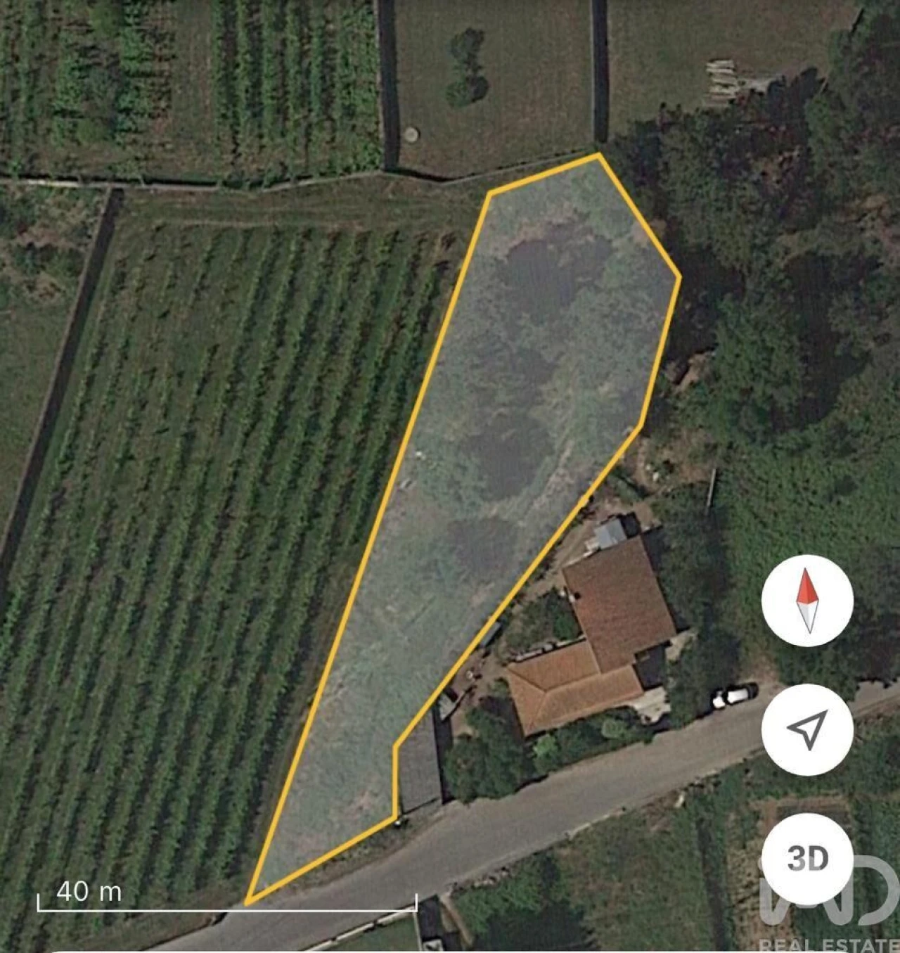 Terreno para Venda em Antas Foto 3