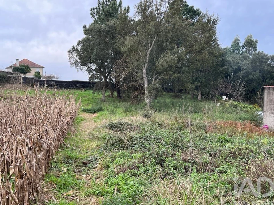 Terreno para Venda em Antas Foto 1