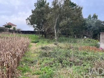 Terreno para Venda em Antas