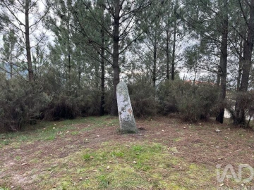 Terreno para Venda em Antas