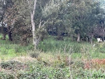 Terreno para Venda em Antas